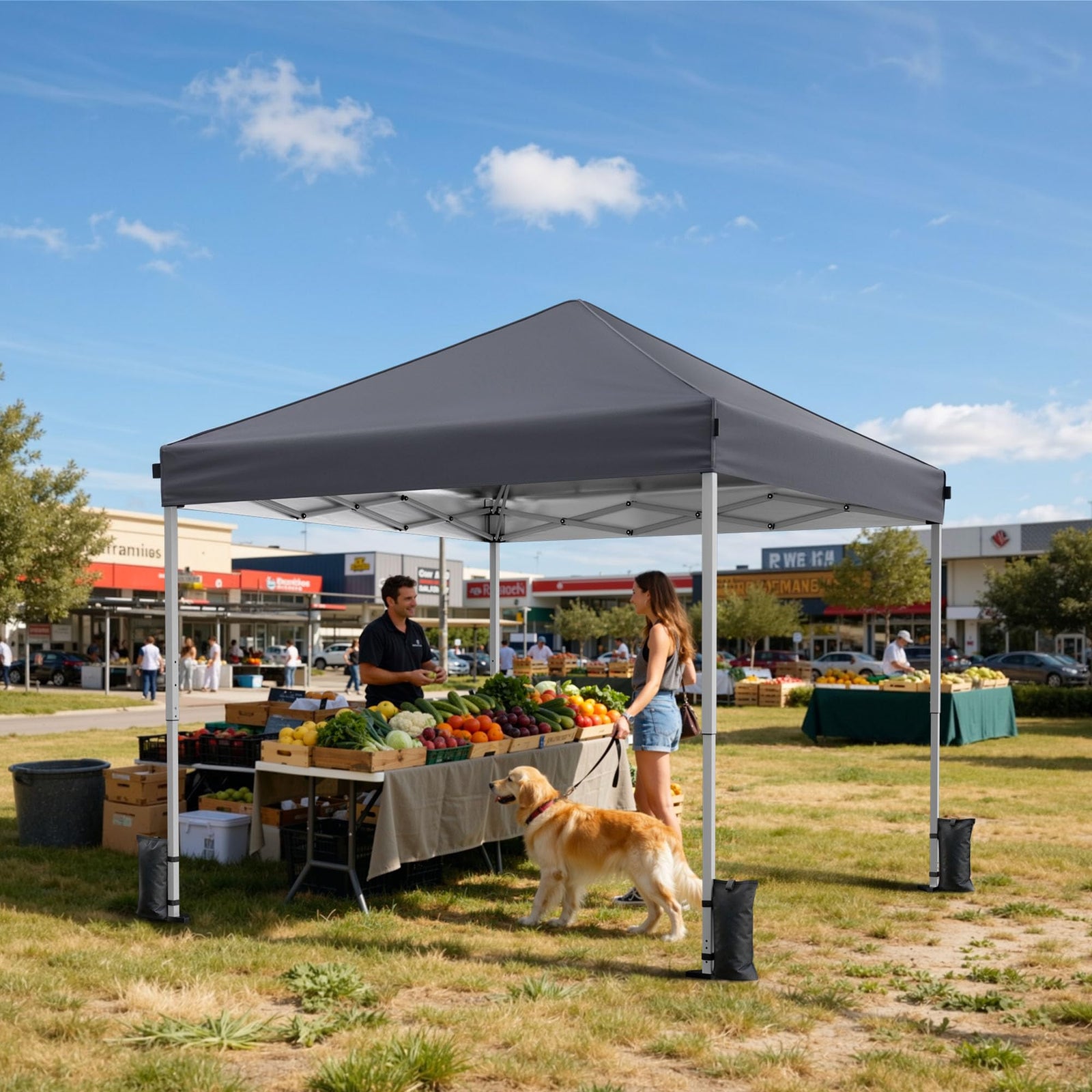 Instant Pop-Up Portable Canopy Tent with Sandbags
